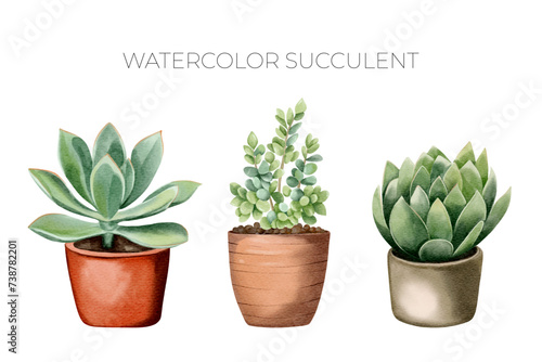 Watercolor succulent plants in pot. Set of watercolor flower pot isolated on white. Mexican plants