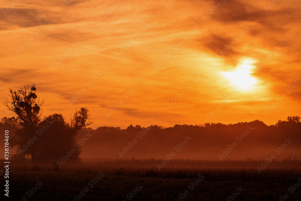 sunset sunset