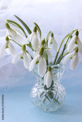 White snowdrops in a glass ,soft blue background. Small beautiful bouquet of the first spring flowers Galanthus Nivalis. Vintage spring greeting card.