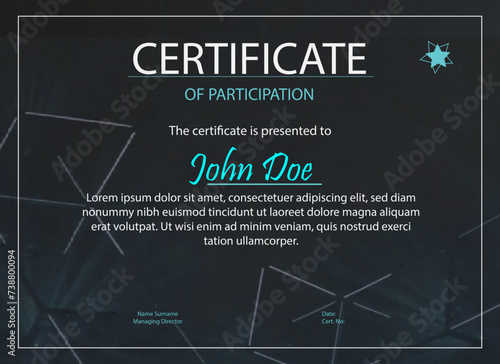 Distinguished Participation Achievement Certificate