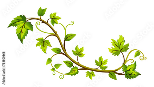 Grape vine vector art isolated
