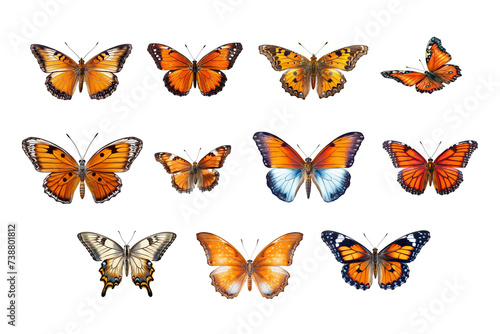 Set of isolated colorful butterflies of different species and colors on a transparent background.