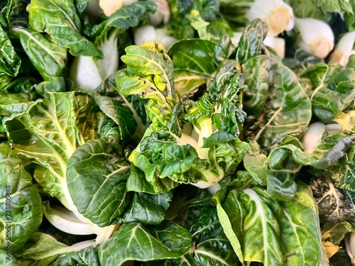 Selective focus Sawi pagoda organik or organic tatsoi. Tatsoi is an Asian variety of Brassica rapa grown for greens. Also called tat choy, it is closely related to the more familiar Bok Choy photo