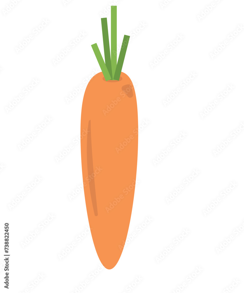 Carrot hand drawing vector illustration