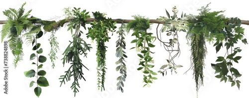 various hanging plants made of moss  branches and greenery