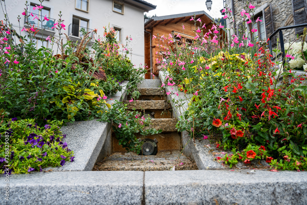 Naklejka premium Un passage avec des fleurs cotes à la ville de châtel