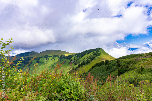 JOLIE PAYSAGE POUR DETENDRE ET PASSER LES VACANCES