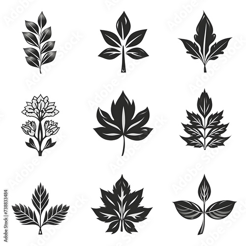set of leaves silhouettes, a botanical silhouette Collection of leaf shapes in various forms. Suitable for nature theme designs. Available in high-quality sets. Various leaf shadow arrays Suitable 