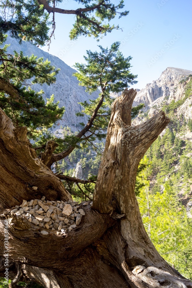 Naturidyll Samaria Schlucht auf Kreta Naturidyll Samaria Schlucht auf Kreta