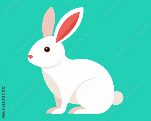 rabbit bunny coney cony hare lagomorph lapin animal pet vector illustration cartoon pretty cute perfect beautiful amazing