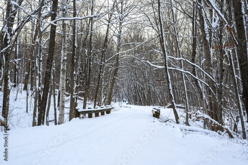 A snowy walking trail