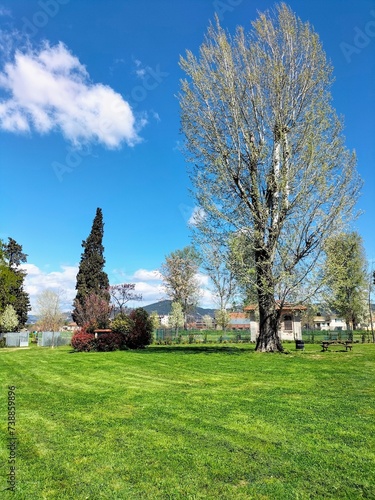 the fresh grass of the meadows