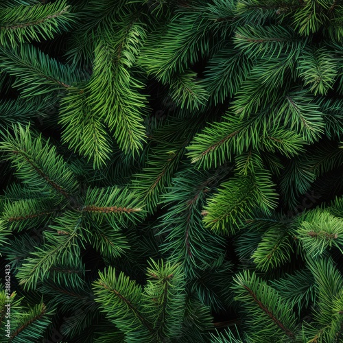 Christmas Tree Background with Natural Colorado Blue Spruce Twigs  Lush Coniferous Pattern