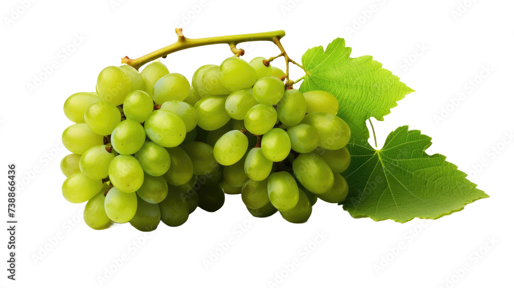 Fototapeta premium Green wine grapes isolated on transparent or white background