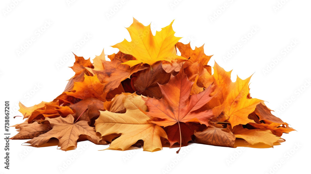 Pile of autumn leaves isolated on transparent a white background Pile of autumn leaves isolated on transparent a white background