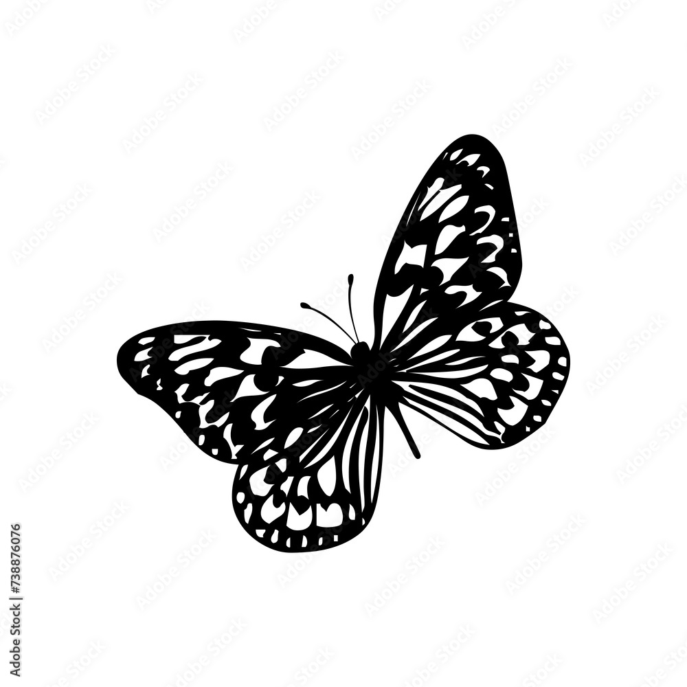 Obraz premium Transparent Butterfly icon