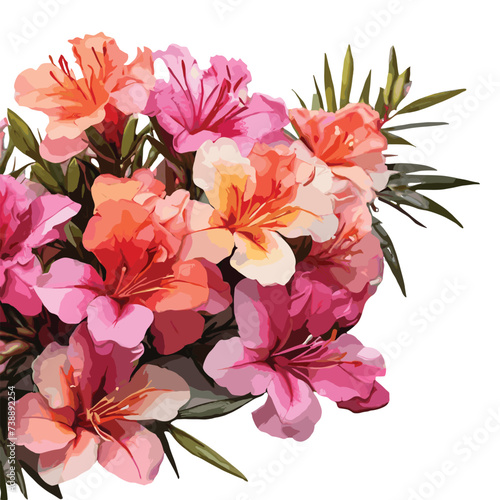 bouquet of multi color Azalea  flowers vector artwork