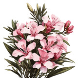 bouquet of pink color Azalea flower vector artwork 
