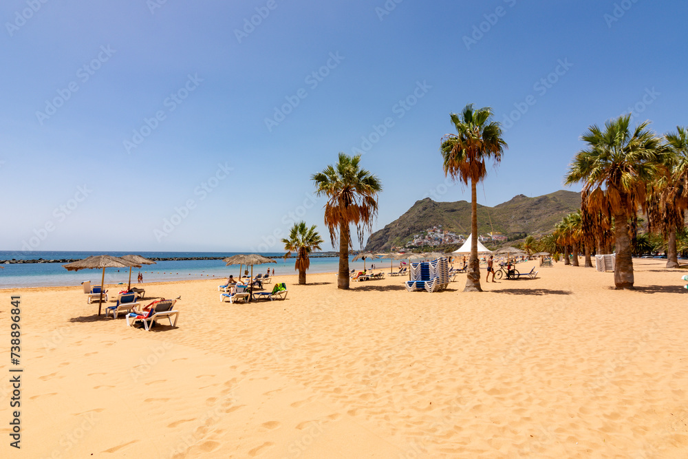 Palm trees on Teresitas beach near Santa Cruz, Tenerife, Canary islands, Spain