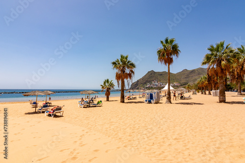 Palm trees on Teresitas beach near Santa Cruz, Tenerife, Canary islands, Spain © Mistervlad