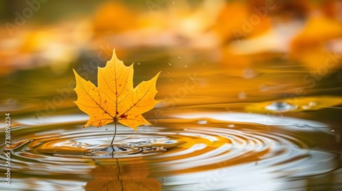 leaf gently descending onto the water's surface, symbolizing the quiet and poetic arrival of autumn