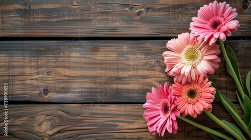 Gerbera daisy flower greeting card background for mother or womans day. Rustic style.