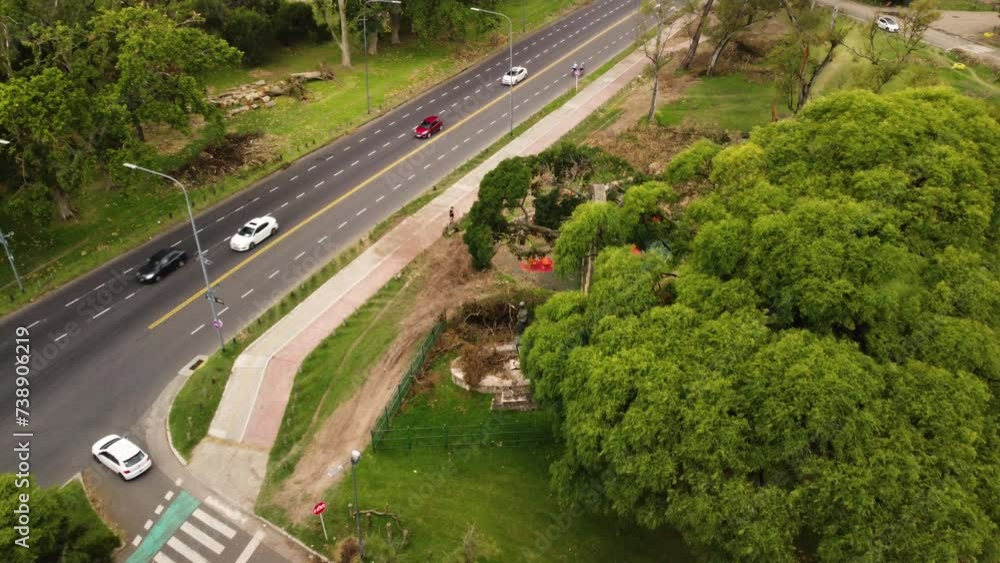 Hurricane-damaged park, view from above Hurricane-damaged park, view from above
