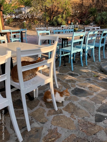 Wallpaper Mural Traditionelles Restaurant auf Kreta, Griechenland Torontodigital.ca