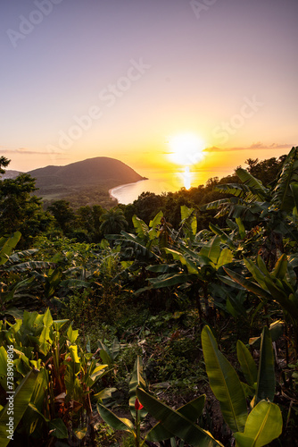Guadeloupe  a Caribbean island in the French Antilles. Landscape and view from a mountain of the Grande Anse beach on Basse-Terre. A secluded bay  lots of nature and mangroves  at sunrise.