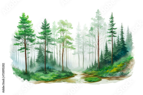 Spring forest watercolor. Forest landscape isolated on white background. Hand painted watercolor illustration of misty forest. Wild nature. For design, wallpaper, banner, poster, etc