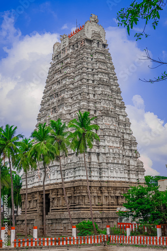 Thirukalukundram is known for the Vedagiriswarar temple complex, popularly known as Kazhugu koil (Eagle temple). This temple consists of two structures, one at foot-hill and the other at top-hill. photo
