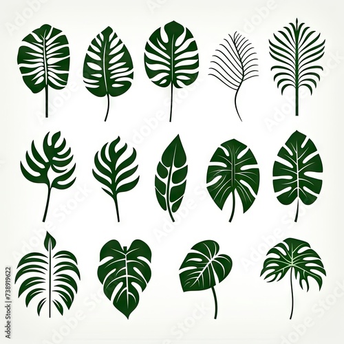 Monstera Leaf Icon Collection  Exotic Leaves Silhouettes  Tropical Plant Symbols  Simple Monstera