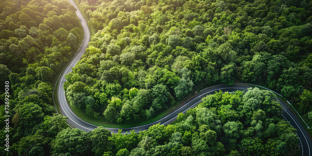 Serene Country Road Amidst Lush Greenery. Aerial top view of winding empty road cuts through a vibrant green forest, highlighting nature's serenity.