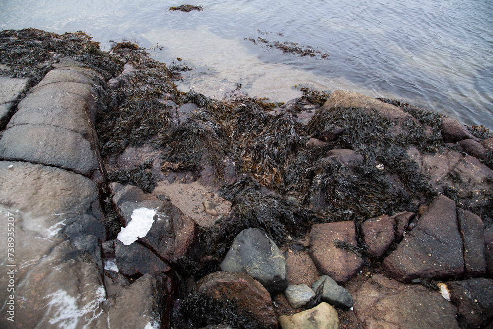 Fototapeta premium stone in the water