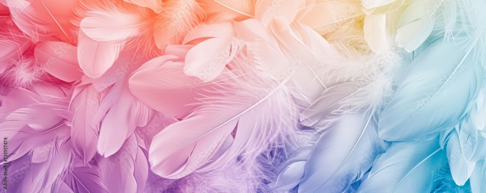 Multicolored Background of Feathers in Various Colors