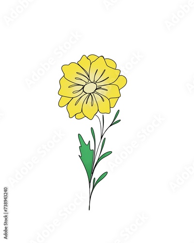 line art drawing of flowers, minimalism sketch, idea for invitation, design o...