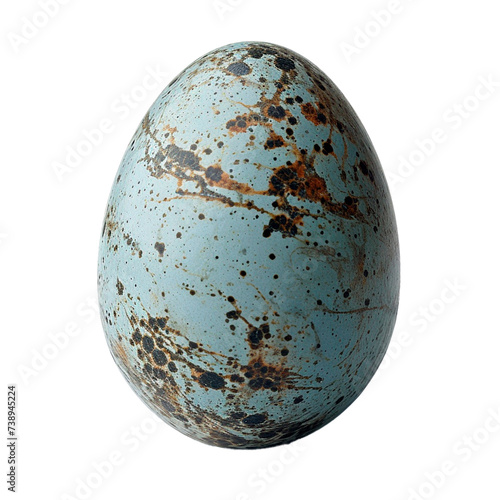 blue bird egg. 