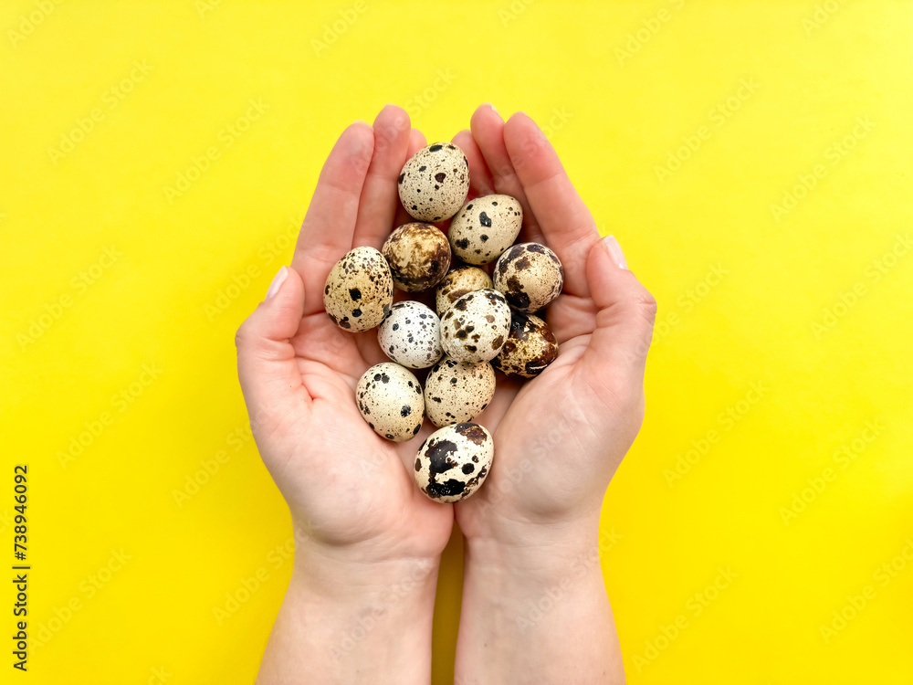 Hands presenting quail eggs against vibrant yellow background, depicting concepts of organic produce and Easter decorations with space for text. Hands presenting quail eggs against vibrant yellow background, depicting concepts of organic produce and Easter decorations with space for text.