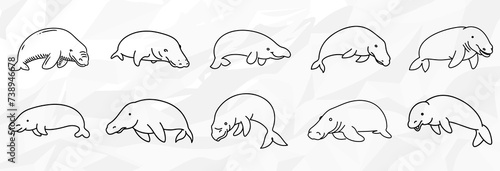 Dugongs: Vektorgrafik-Bundle mit verschiedenen Lineart-Zeichnungen