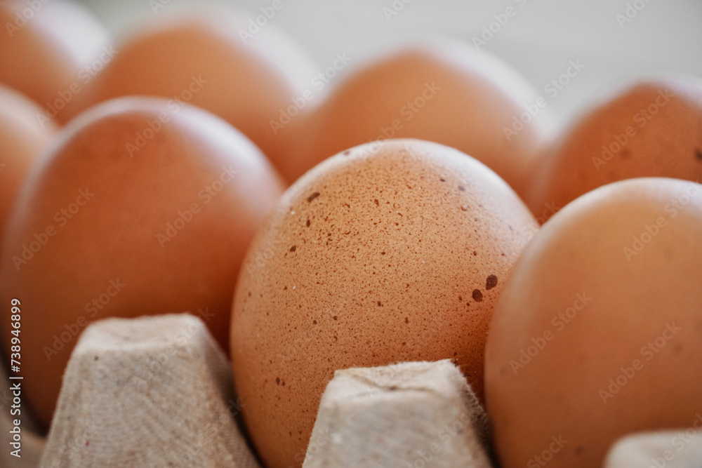 Close-up of eggs in carton box on white background.
Close-up of eggs in carton box on white background.