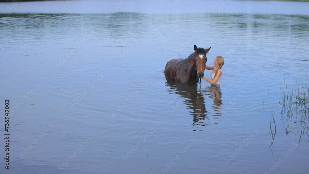 Young blonde woman in a white long dress posing with a brown horse on the shore of the lake on a sunny day Young blonde woman in a white long dress posing with a brown horse on the shore of the lake on a sunny day