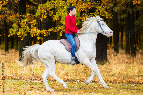 A pretty young woman and a white horse in the forest © michal