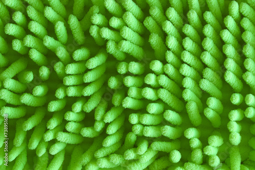 Abstract green background. Green abstract texture like coral.