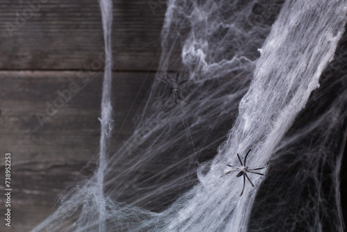 Decorative web with spiders for Halloween on a black background