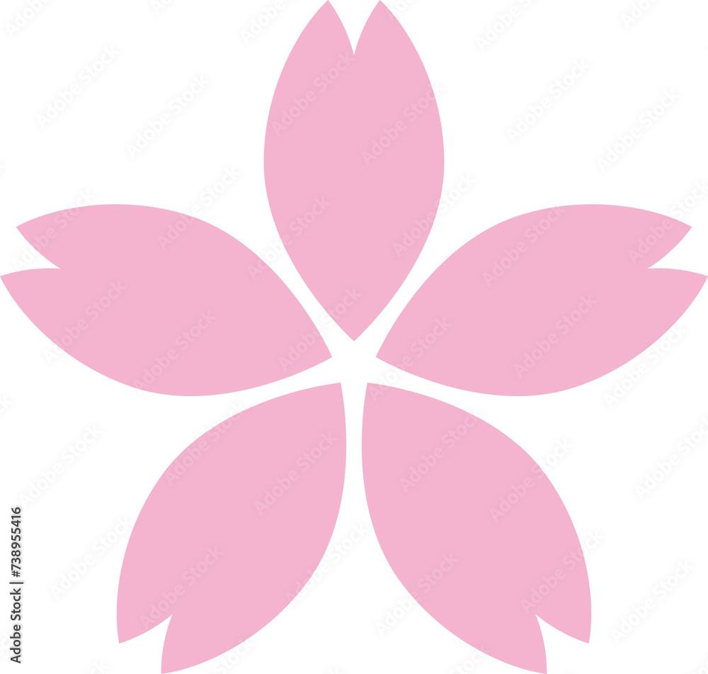 桜の花 桜の花