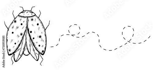 Ladybug nsect with trail in doodle style