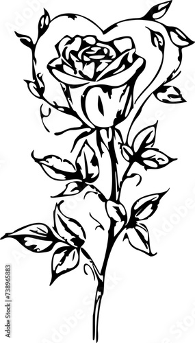 SVG Rose Vector Illustration Decorative Design