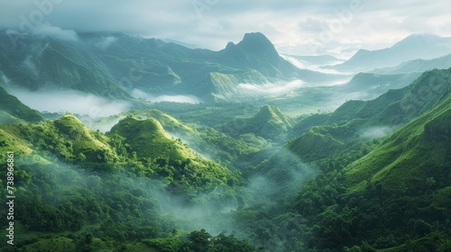 amazing landscape of the amazon with fog photo
