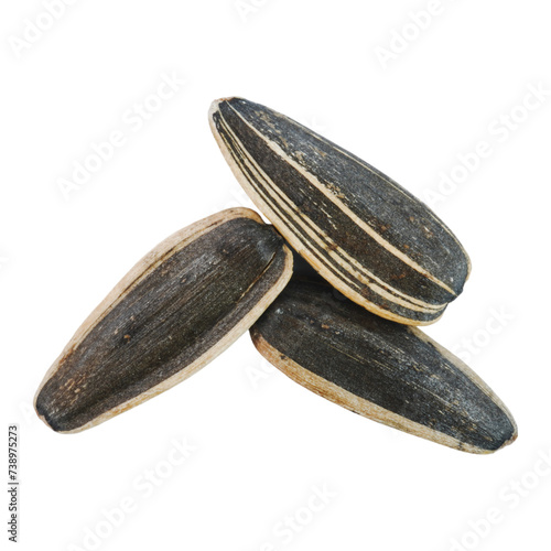 Wallpaper Mural Close up of sunflower seeds isolated transparent Torontodigital.ca