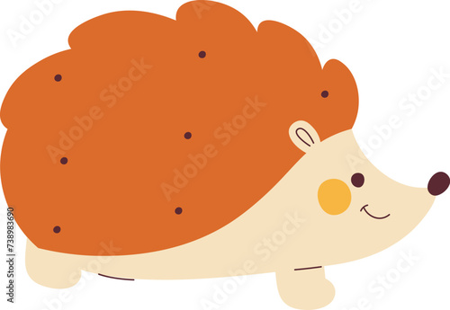Hedgehog Animal Walking